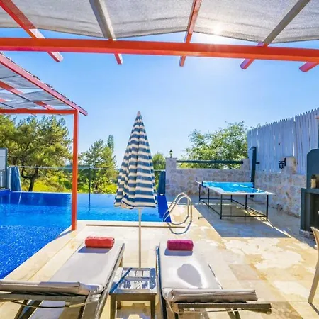 Sleek With Pool Backyard Jacuzzi In Kas Villa *